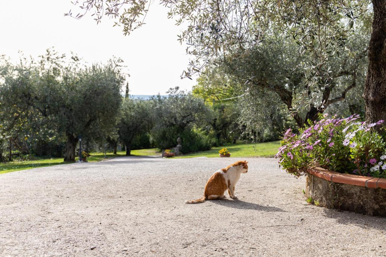 La Tana Delle Stelle Di Charme E Relax 3* Fara in Sabina